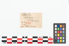 Etikett zu Bronzekopfschmuckring (NHMW-PRAE-026252)